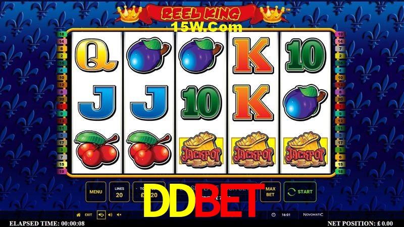 Sports Statistics DDbet